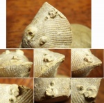 Cornulites sp. на Palaeoconchus sp.