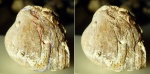 Скол части створки