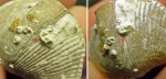Cornulites sp. на Palaeoconchus sp. (2.0)