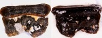 Diclitodus