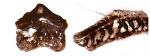 .Diclitodus и Oxytomodus