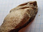 химера из Шацка