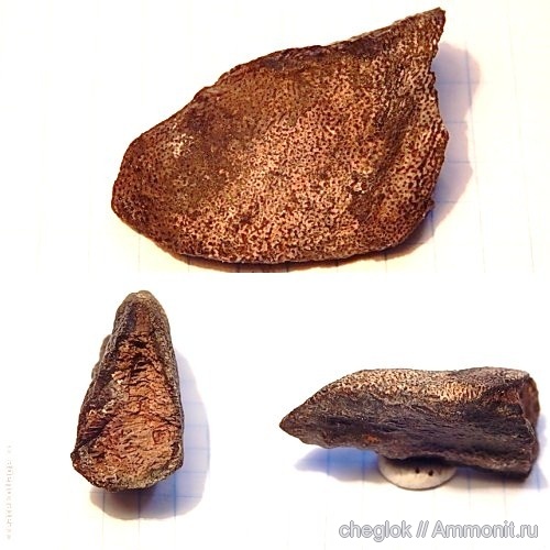 юра, Фили, химеры, Jurassic