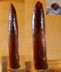 марокканский зауропод