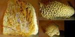 Pemmatites изнутри