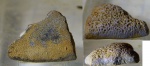 зубная  пластина(?) из Заборья