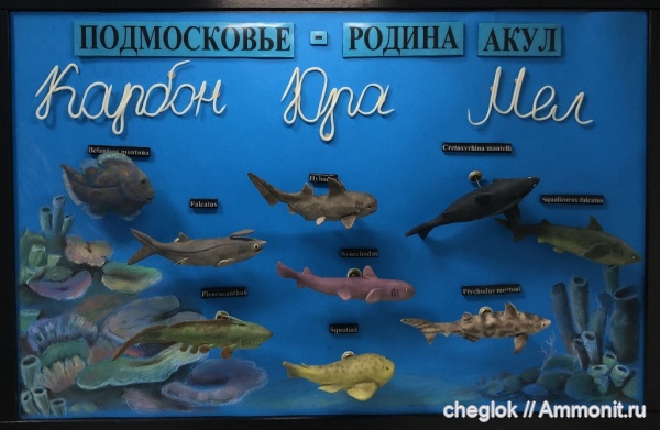 палеоарт из разных источников