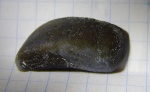 лагародус 3 см Пески