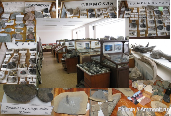 музеи, протерозой, Пермский край, Музей им. Б.К. Поленова