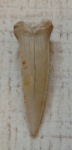 Зуб 2