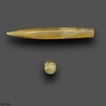 Hibolites.sp (???)