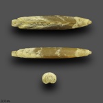 Hibolites.sp № 2  (???)