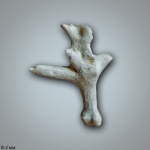 Polypora (?)