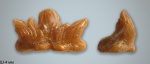 Cladodus