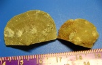 Брахиоподы Antigonambonites sp. Брахиоподы Antigonambonites sp.
