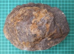 Двустворка, 18см