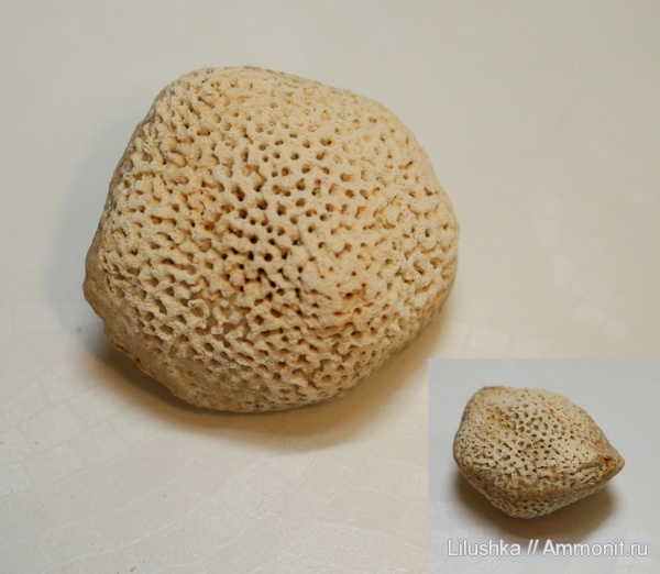Pemmatites