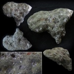 Губка Tremabolites ex. gr. confluens (Fisher de Waldheim, 1835)