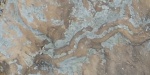 диск в соединении со следом Scolicia