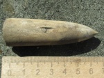 Покусанный ростр белемнита Pahyteuths (Simobelus) cutra
