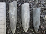 Pahyteuths (Simobelus) cutra