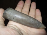 Случайная находка Pahyteuths (Simobelus) cutra, на обочине дороги