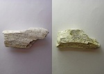 Кость 1