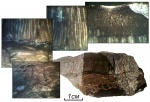 Cystolonsdaleia и Chaetetes