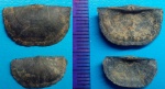 Парочка Neochonetes carboniferus
