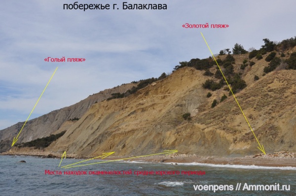 окаменевшее дерево, Балаклава, гагат