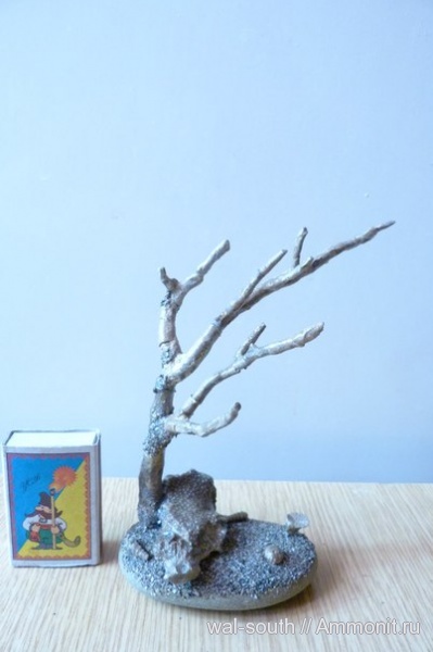 рифы