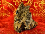Лопастные линии и сифон аммонита Lunoloceras sp.