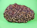 Некрополь лопатоногих моллюсков Dentalium sp.