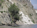 Берег Плезиозавров