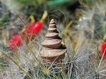 Келловейская Dicroloma.sp без устья