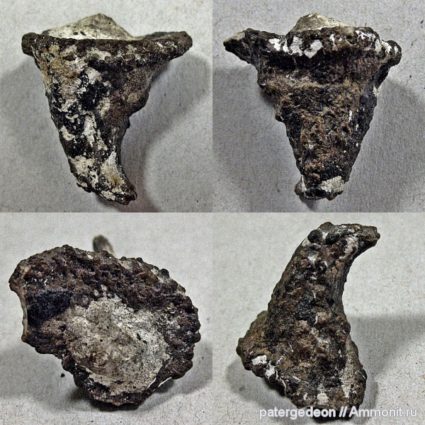 губки, Саратовская область, сантон, Александровка