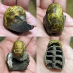 Уже исторический наутилус