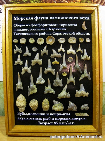 кампан, Карякино