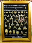 Плоды из Карякино