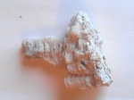 Кораллы из Египта 1