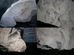 отпечатки Брахиоподы