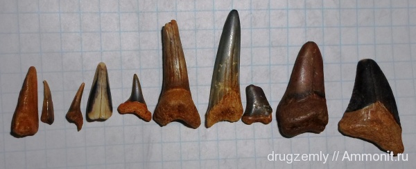 зубы, teeth