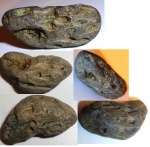 колониальный коррал