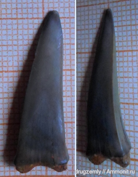 зубы, teeth