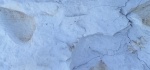 Отпечатки двустворки? Отпечатки двустворки?