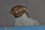 Asaphus plautini Schmidt 1898