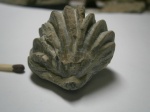 Брахиопода.(Russirhynchia fischeri(Rouillier).
