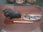 Триас  из Борского р-на (Самарская обл).