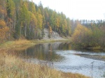 Река Чуть, место находок моллюсков. Река Чуть, место находок моллюсков.