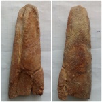 Кашпирское нечто .